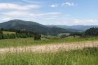 landschaft002