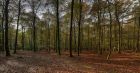 landschaft007