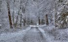 landschaft008