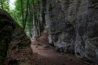 landschaft011