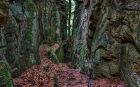 landschaft013
