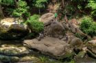 landschaft015